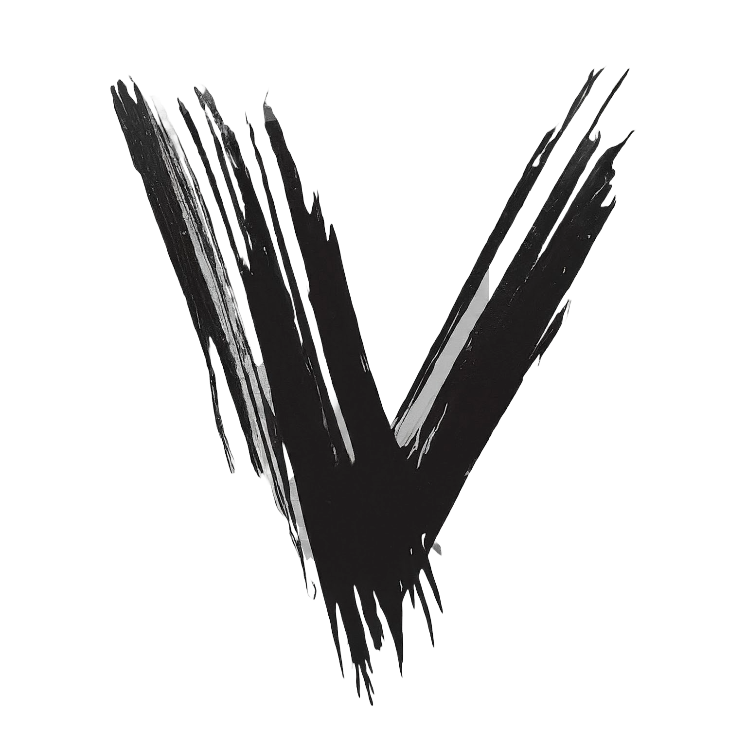 Vin Bui's Logo